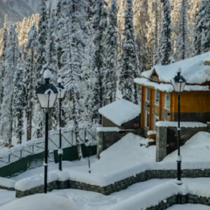 Kashmir Honeymoon Package
